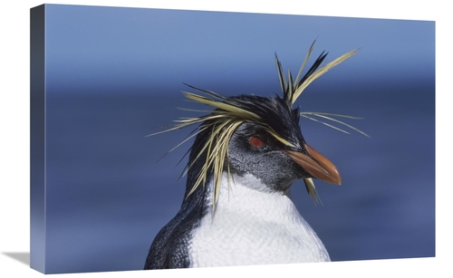 Global Gallery GCS-451808-1624-142 16 x 24 in. Rockhopper Penguin Port