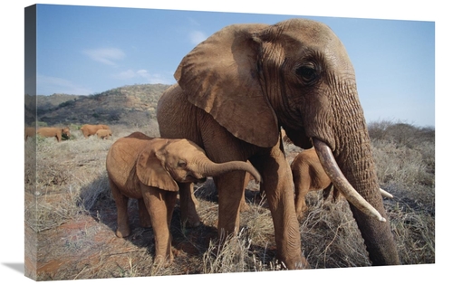 Global Gallery GCS-452958-2030-142 20 x 30 in. Orphan Malaika with Bab