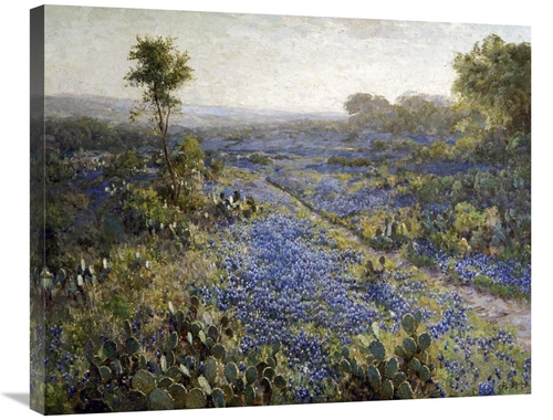 Global Gallery GCS-266954-30-142 30 in. Field of Texas Bluebonnets & P