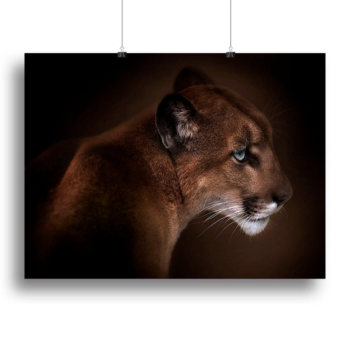 Puma Canvas Print or Poster