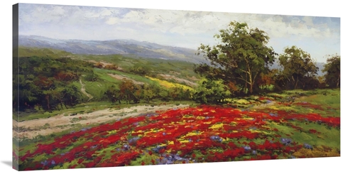 Global Gallery GCS-459568-2448-142 24 x 48 in. Meadow of Wildflower Ar