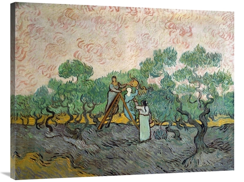 Global Gallery GCS-281329-40-142 40 in. Women Picking Olives Art Print