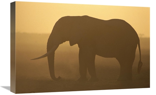 Global Gallery GCS-452749-1624-142 16 x 24 in. African Elephant Silhou