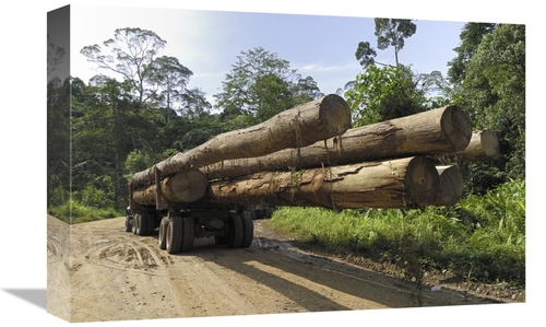 Global Gallery GCS-397663-1218-142 12 x 18 in. Truck with Timber From 