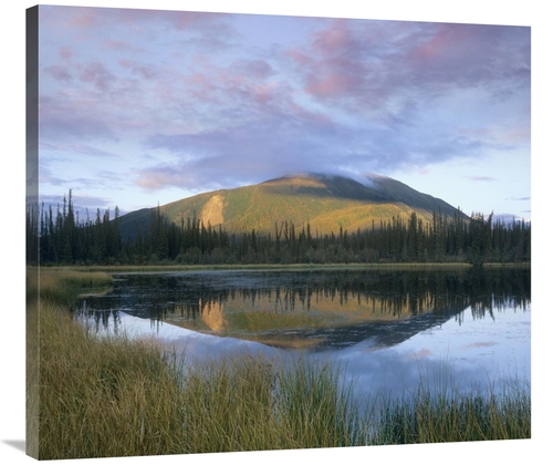 Global Gallery GCS-396197-36-142 36 in. Pond Reflecting Nisling Range&