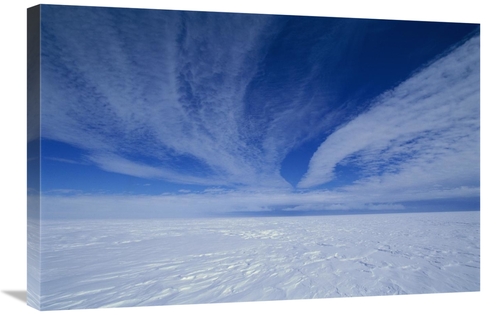 Global Gallery GCS-453529-2030-142 20 x 30 in. Cirrus Clouds Above Icy