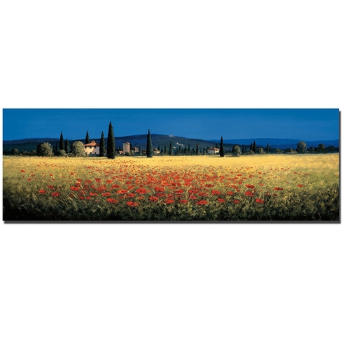 Artistic Home Gallery 1236A108CG Tuscan Panorama by David Short Custom