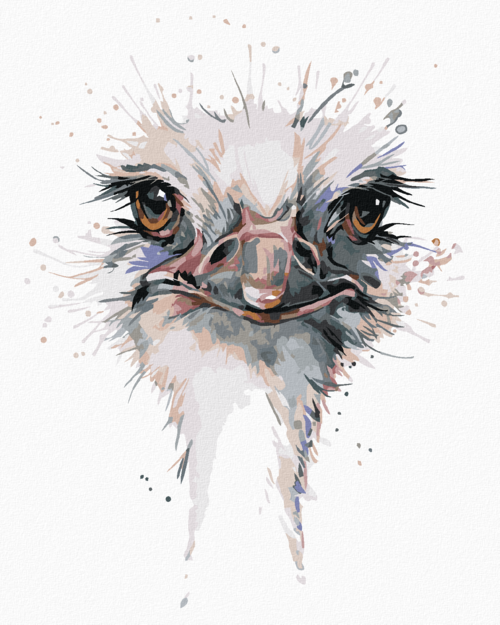 Paint by Numbers - OSTRICH HEAD