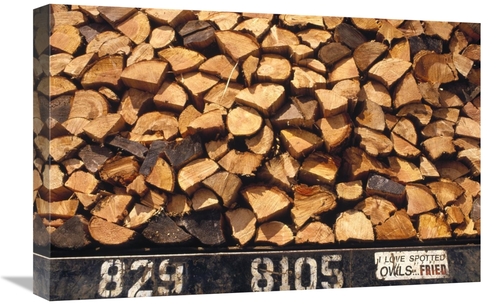 Global Gallery  16 x 24 in. Firewood Hauled From Clearcut on Truck Bed