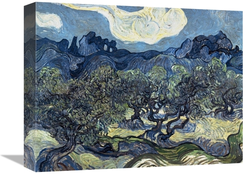 Global Gallery GCS-281284-16-142 16 in. Olive Trees with the Alpilles 