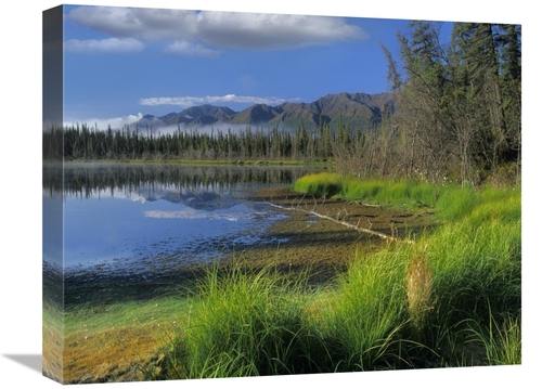 Global Gallery GCS-396818-1620-142 16 x 20 in. Nutzotin Mountains & Bo