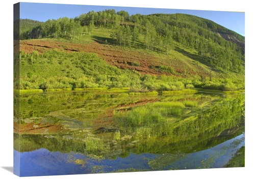 Global Gallery GCS-396819-2432-142 24 x 32 in. Rico Mountains Reflecte