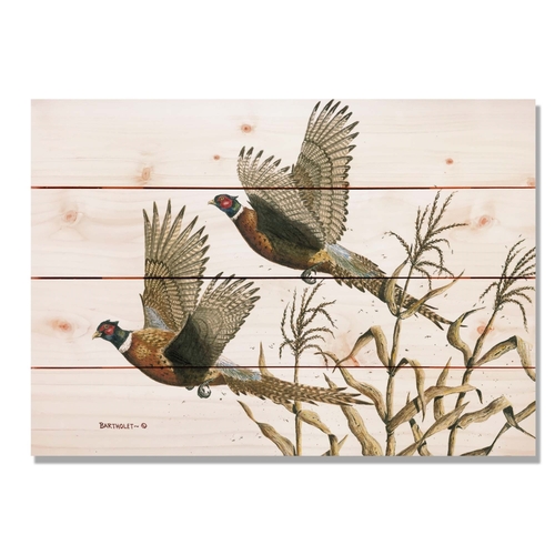 Day Dream DBLT2014 20 x 14 in. Bartholets Long Tails Wall Art