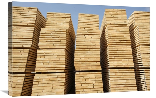 Global Gallery GCS-398104-2030-142 20 x 30 in. Logged Timber From the 