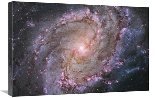 Global Gallery GCS-450037-2030-142 20 x 30 in. M83 - Spiral Galaxy Art