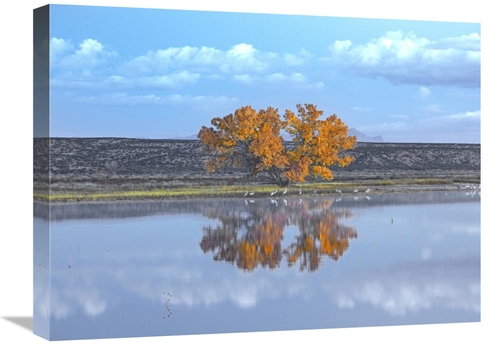 Global Gallery GCS-397115-1824-142 18 x 24 in. Cottonwood & Cranes&#44