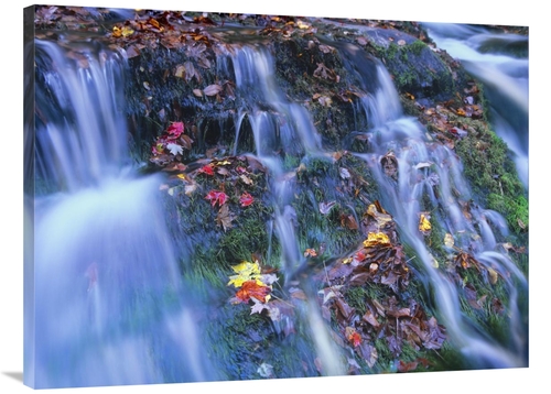 Global Gallery GCS-396767-3040-142 30 x 40 in. Laurel Creek Cascades&#