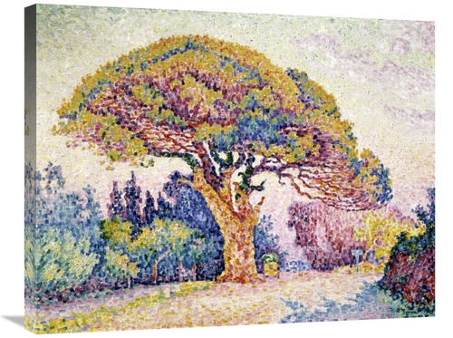 Global Gallery GCS-280057-30-142 30 in. Pine Tree in St. Tropez Art Pr