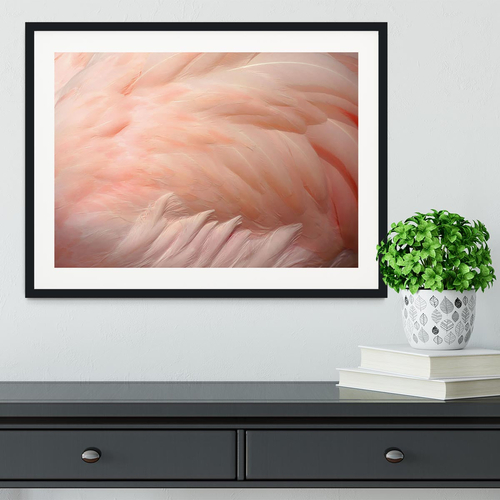 Pink flamingo feathers Framed Print