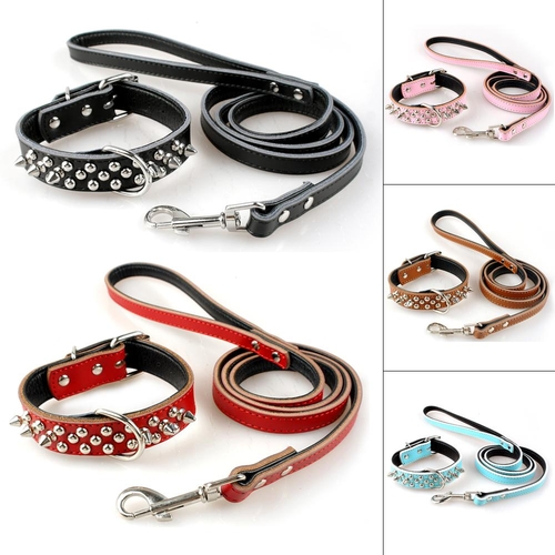 Padded Leather Studded Spiked Dog Collar & Leash