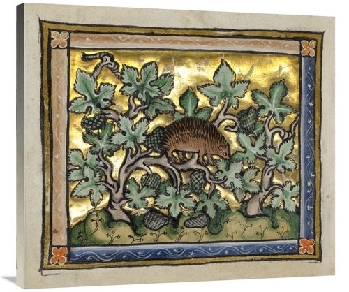 Global Gallery GCS-454752-36-142 36 in. A Hedgehog Art Print - Franco-