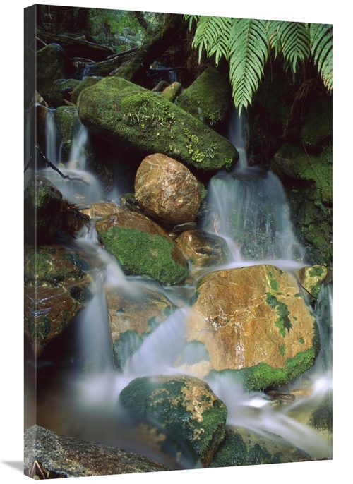 Global Gallery GCS-453504-2436-142 24 x 36 in. Stream Waterfall Near L