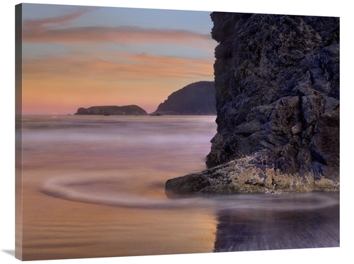 Global Gallery GCS-396632-3040-142 30 x 40 in. Barnacle-Covered Seasta