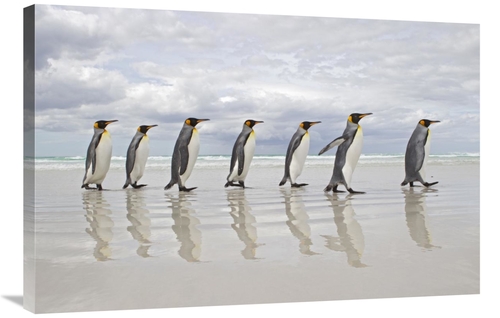 Global Gallery GCS-395353-2436-142 24 x 36 in. King Penguin Group Walk