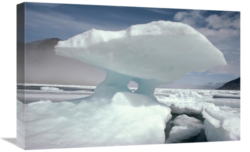 Global Gallery GCS-450710-1624-142 16 x 24 in. Iceberg & Ice Floes,