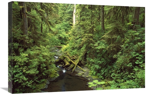 Global Gallery GCS-452841-2030-142 20 x 30 in. Wilaby Creek, Olymp