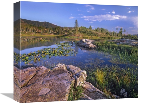 Global Gallery GCS-396127-16-142 16 in. Scout Lake, San Juan Mount