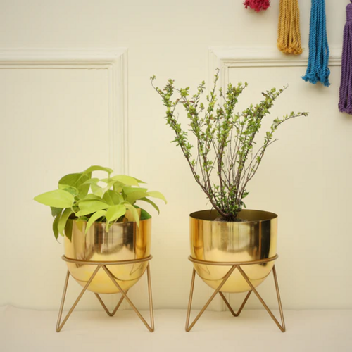 Zig Zag Gold Combo Planters (Pack of 2)