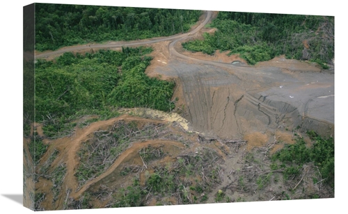 Global Gallery GCS-395781-1624-142 16 x 24 in. Rainforest Logging Acti