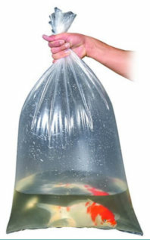 Aquascape 98912 18 in. x 36 in. Fish Bags - Case of 100