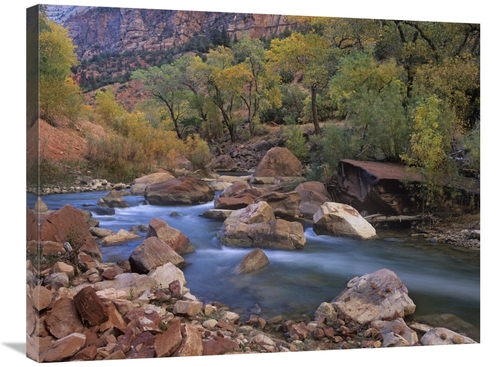 Global Gallery GCS-396823-2432-142 24 x 32 in. Virgin River Flowing Th