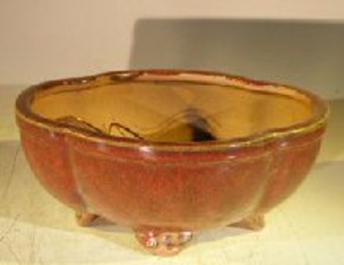 Parisian Red Ceramic Bonsai Pot  - Oval Lotus Shaped Professional