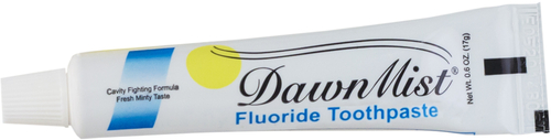 DawnMist Fluoride Gel Toothpaste - 0.6 oz, Mint