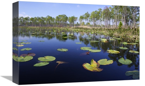 Global Gallery GCS-397596-1218-142 12 x 18 in. Lake with Lily Pads&#44