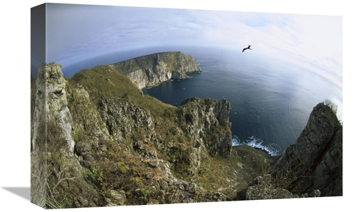 Global Gallery GCS-451561-1218-142 12 x 18 in. Red-Footed Booby & Swal