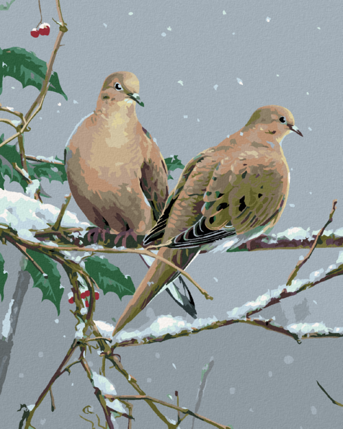 Zuty - Paint by Numbers â€“  DOVE ON A SNOW-COVERED BRANCH (JAMES