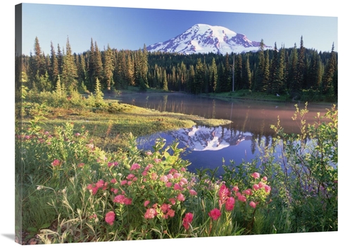 Global Gallery GCS-397028-3040-142 30 x 40 in. Mt Rainier & Wildflower