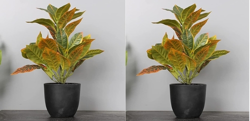 Croton Artificial Croton Petra for Desk top,Bathroom,Living Rooms and