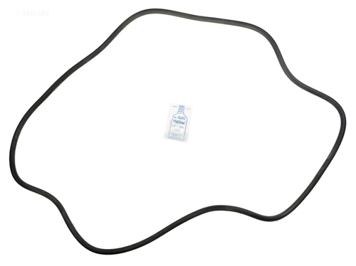 Aladdin Equipment APCK1163 Sta Rite DES51 O-Ring Kit - APCOKIT475