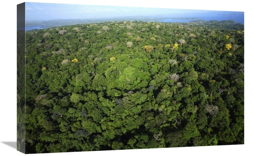 Global Gallery GCS-398546-1624-142 16 x 24 in. Aerial VIew of the Cana