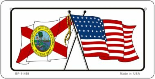 Smart Blonde BP-11469 3 x 6 in. Florida & USA Flag Novelty Metal Bicyc