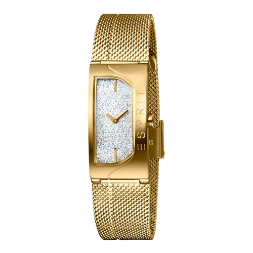 Esprit ES1L045M0215 Houston Glam Silver Gold Mesh Ladies Watch