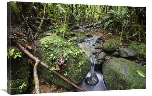 Global Gallery GCS-452677-2436-142 24 x 36 in. Creek in Mountain Rainf