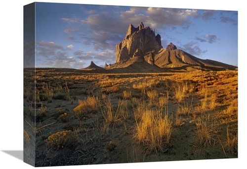 Global Gallery GCS-452272-1216-142 12 x 16 in. Shiprock, the Basal
