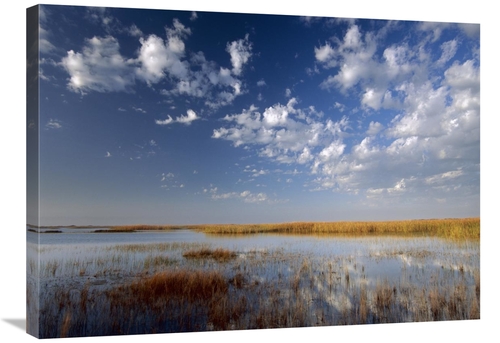 Global Gallery GCS-396188-2432-142 24 x 32 in. Marsh, Padre Island