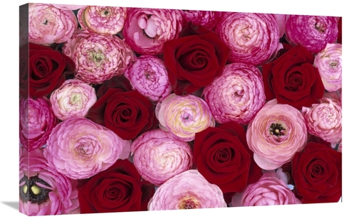 Global Gallery GCS-453613-2030-142 20 x 30 in. Rose Flowers & Buttercu